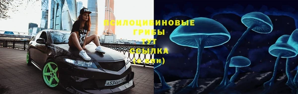 ECSTASY Рославль