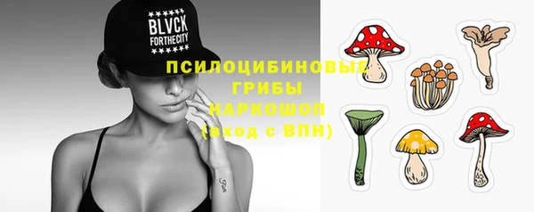 гидра Ростов