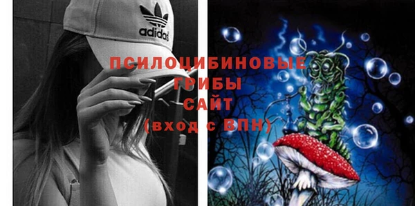 гидра Ростов