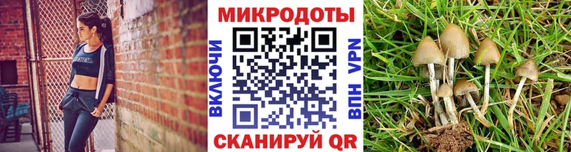 Псилоцибиновые грибы Psilocybe  Купить где  Давлеканово 